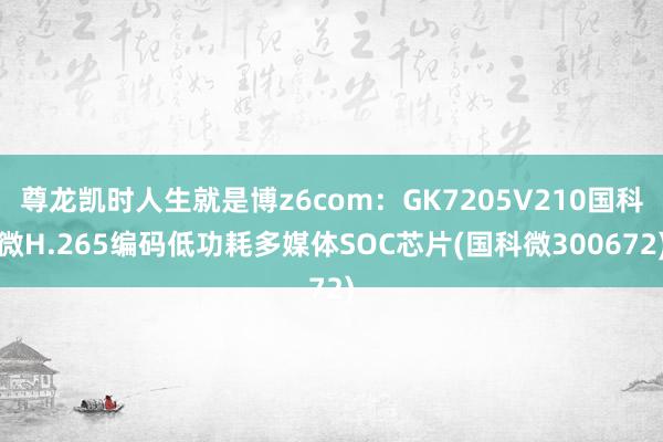 尊龙凯时人生就是博z6com：GK7205V210国科微H.265编码低功耗多媒体SOC芯片(国科微300672)